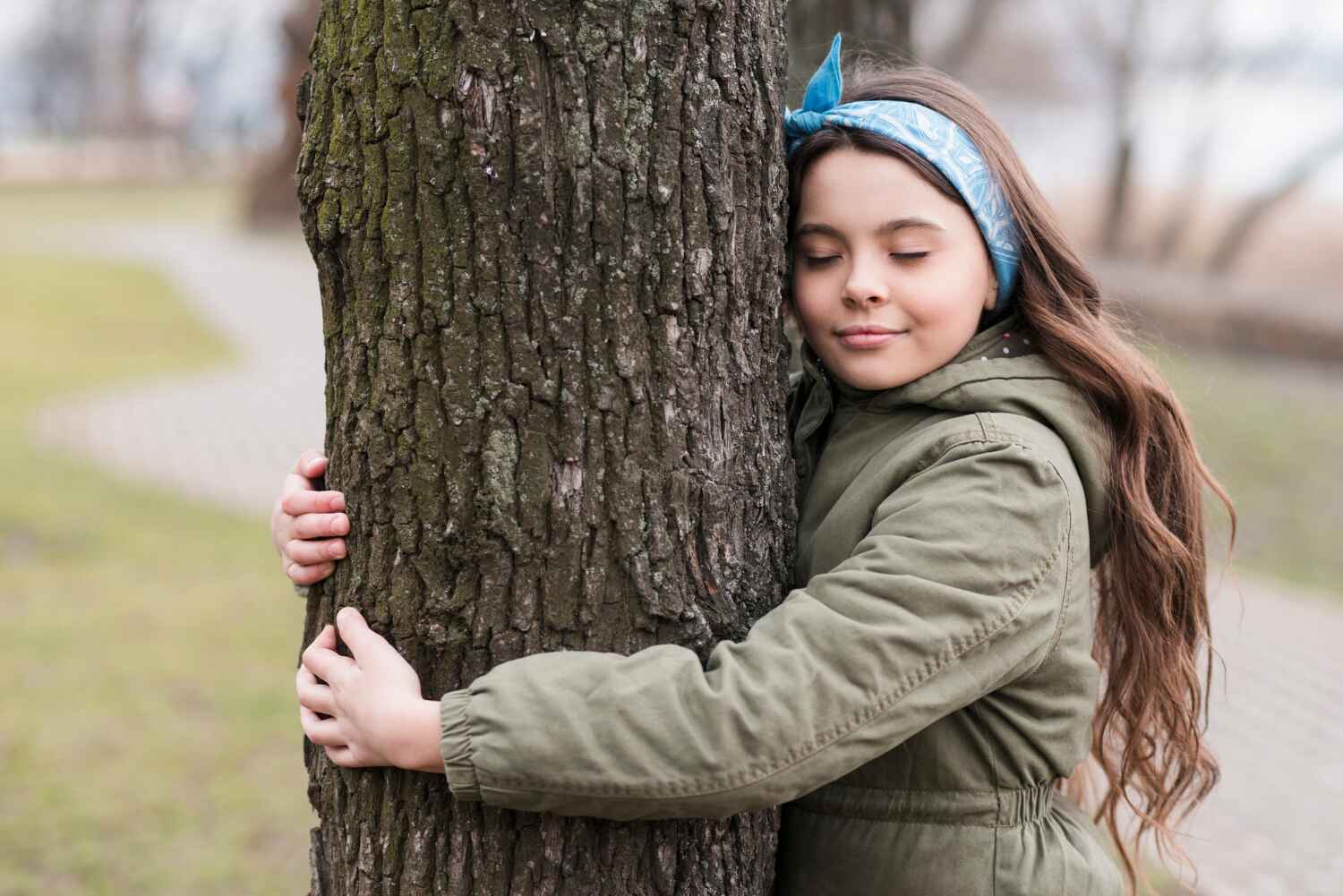 Large Tree Removal